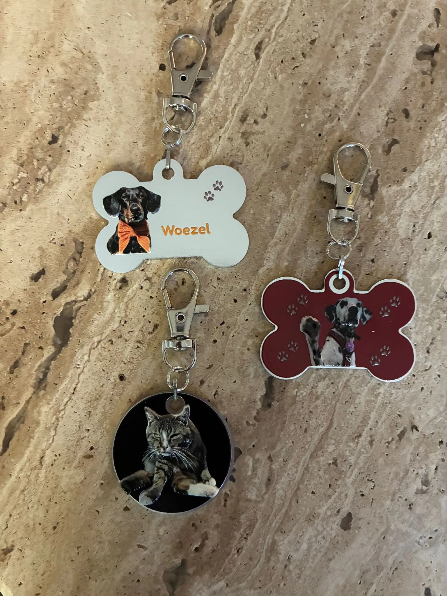 Real pet tag, angled view