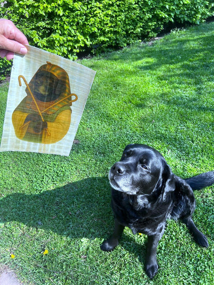 Huisdierportret op papyrus voorbeeld labrador