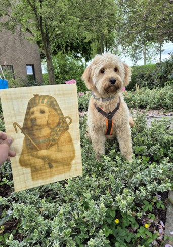 Huisdierportret op papyrus voorbeeld van klant